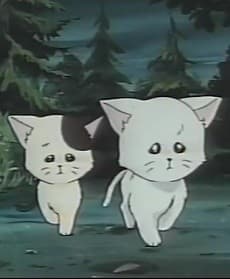 Poster for Meow no Hoshi