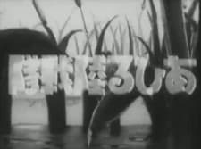 Poster for Duck Brigade