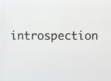 Poster for Introspection