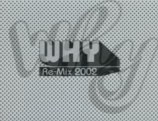 Poster for Why Re-Mix 2002