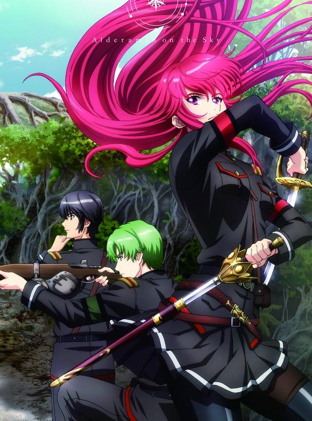 Poster for Alderamin on the Sky