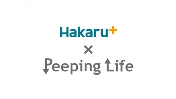 Poster for Takemoto Denki x Peeping Life