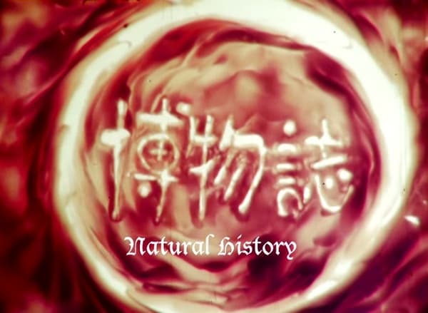 Poster for Natural History