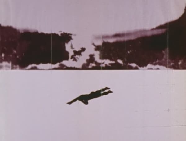 Poster for Shadow