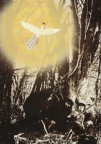 Poster for The Phoenix: Chapter of Dawn