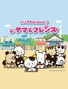 Poster for Tama & Friends: Uchi no Tama Shirimasenka?