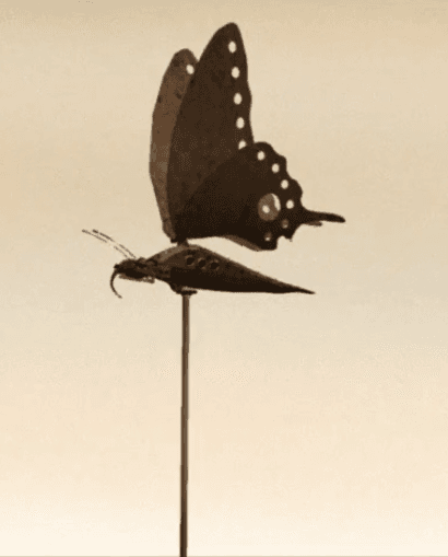 Poster for Lost Butterfly
