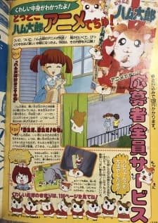 Poster for Tottoko Hamtarou: Anime Dechu!