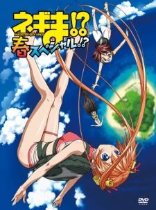 Poster for Negima!? Haru Special!?