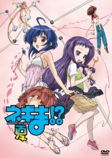 Poster for Negima!? Natsu Special!?