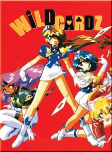 Poster for Wild Cardz