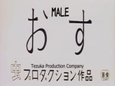 Poster for Male