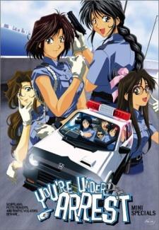 Poster for You're Under Arrest Mini Specials