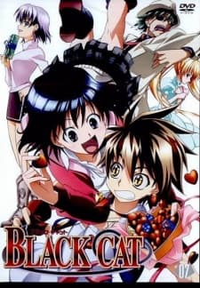 Poster for Black Cat: Toozakaru Neko
