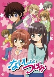 Poster for Naisho no Tsubomi