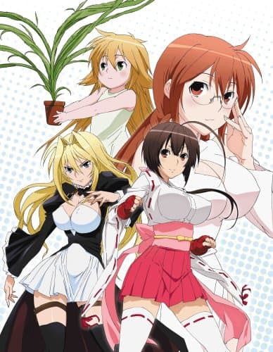 Poster for Sekirei