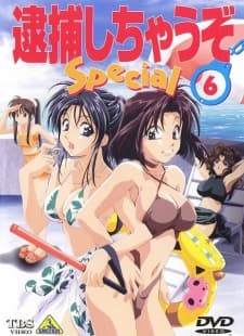 Poster for You're Under Arrest: Diverting Traffic at the Beach