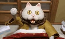 Poster for Kotatsu Neko (ONA)