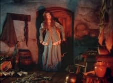 Poster for Briar-Rose or The Sleeping Beauty