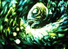 Poster for Aquatic