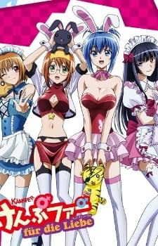 Poster for Kämpfer für die Liebe