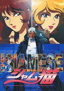 Poster for The Siamese: First Mission