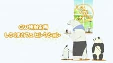 Poster for Shirokuma Cafe: Golden Week Special - Shirokuma Cafe Selection