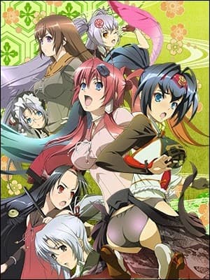 Poster for Hyakka Ryouran: Samurai After