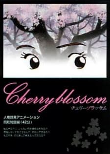 Poster for Cherry Blossom