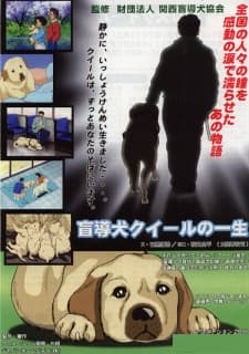Poster for Moudouken Quill no Isshou