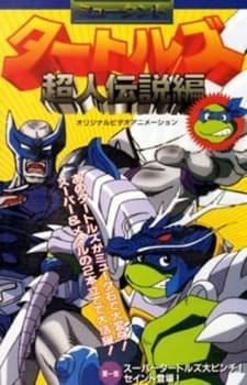 Poster for Mutant Turtles: Choujin Densetsu-hen